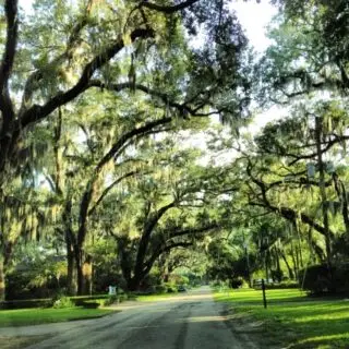 Property management in Mandarin Jacksonville FL